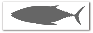 180cm×60cm魚拓パネルイメージ